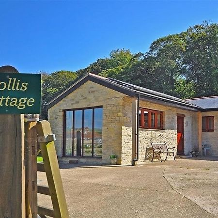 Follis Cottage 韦茅斯 外观 照片