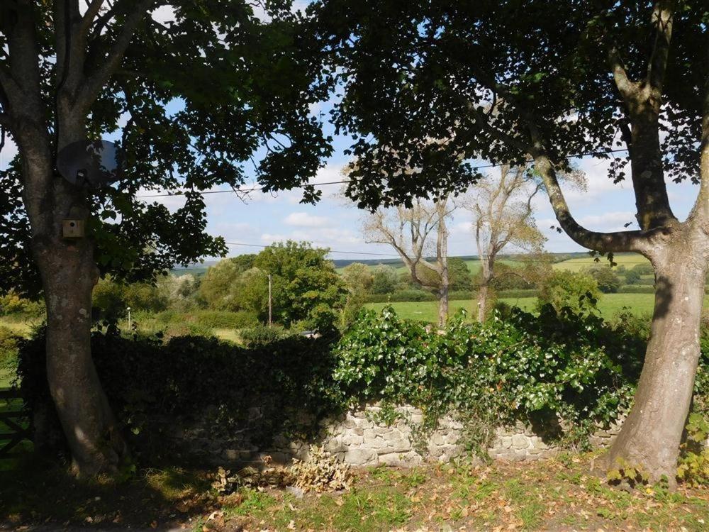Follis Cottage 韦茅斯 外观 照片